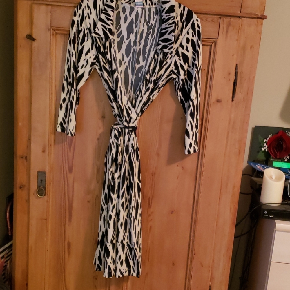 Aqua Leopard Print Dress